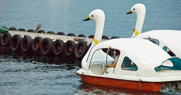 白鳥のボート